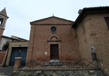 Trail On foot Montalcino - IT-PVO3 - Photo