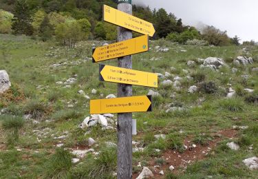 Tocht Stappen Gap - cote gelée  - Photo