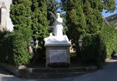 Tocht Te voet Gemeinde Klosterneuburg - Kierling - Eichenhain - Photo