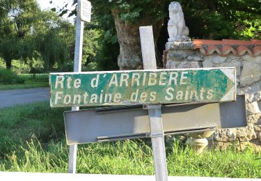 Tocht Te voet Saint-Martin-de-Seignanx - Riston - Photo