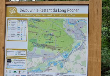 Trail Walking Fontainebleau - Fontainebleau Sentier Denecourt 17 - Photo