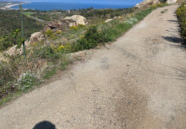 Tour Elektrofahrrad Argelès-sur-Mer - Mar y mont 2022 - Photo
