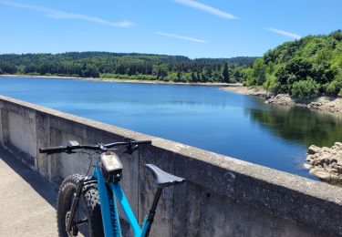 Percorso Bicicletta elettrica Le Puy-en-Velay - Lac de Lavalette  - Photo