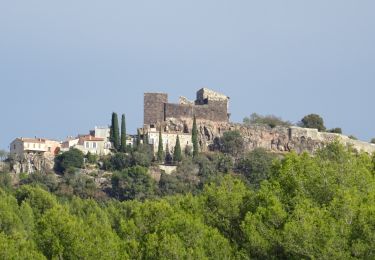 Tocht Stappen Évenos - Evenos 2 - Photo