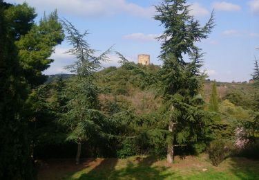 Tour Wandern Castelnou - Autour de Castelnou via St Marti de la Roca  - Photo