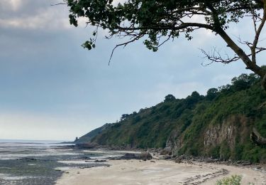 Tocht Stappen Champeaux - Les falaises de Champeaux - Photo