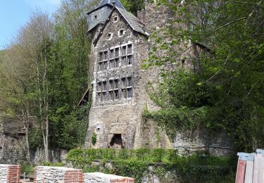 Tocht Stappen Luik - Liège- Nessonvaux - Photo