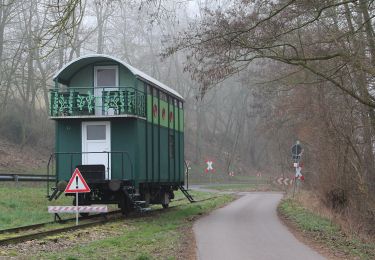 Tocht Te voet Bodenwerder - BW2 Zweitürmetour - Photo