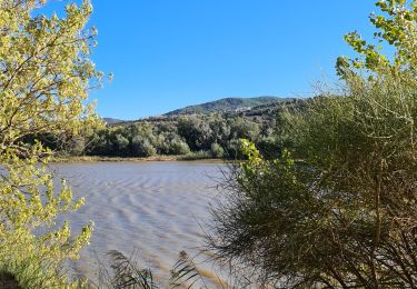 Percorso Marcia Roquebrune-sur-Argens - lac de l arena - roquebrune - Photo