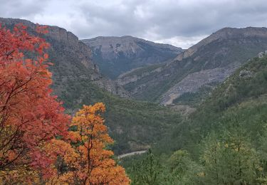 Tocht Stappen Chaudon-Norante - Le poil valbonnette - Photo