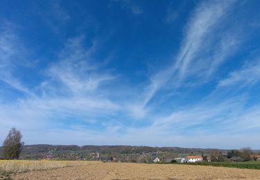 Tocht Wegfiets Watermaal-Bosvoorde - 2021.04.24.V - Photo