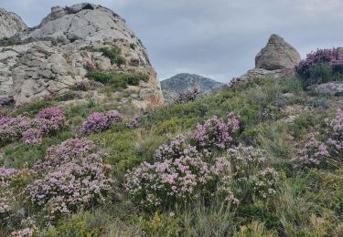 Randonnée Marche Marseille - Crêtes du Vallon de Toulouse - Photo