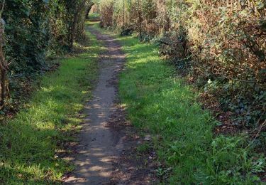 Trail Walking Perros-Guirec - petit chemin parking  - Photo
