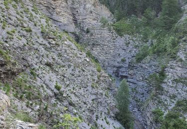 Trail Walking Beauvezer - 12-07-2023 Gorges de Saint Pierre  - Photo