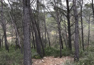 Excursión Bici de montaña Prades-le-Lez - Chatterton  - Photo