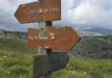Trail Walking Vence - Naouri avec problème de réception  - Photo