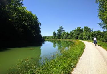Trail On foot Montbard - Circuit d'Arlette - Photo