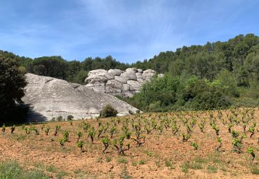 Excursión Senderismo Évenos - Le gros cerveau 10 mai 2019 - Photo