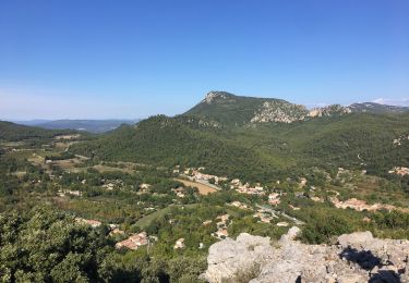 Trail Walking La Roquebrussanne - La Croix de Berard , la Roquebrussane - Photo