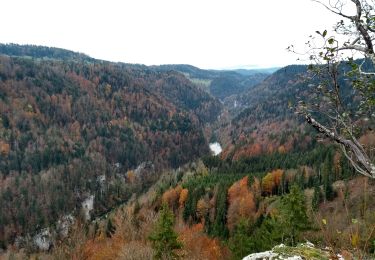 Excursión Senderismo Damprichard - 10-11-19 Belvédère des vieilles femelles - Photo