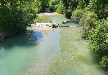 Trail Walking La Bastide - LA BASTIDE - DU BROUIS A L'ARTUBY - Photo