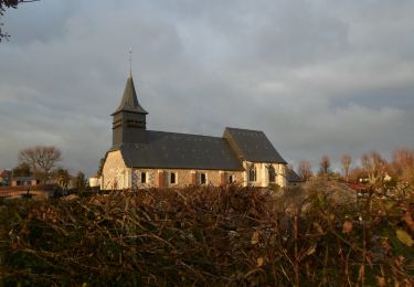 Tour Wandern Houppeville - 20220120-Houppeville - Photo