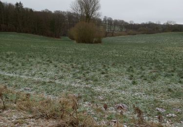 Tour Wandern Sprimont - promenade no 3 - Photo