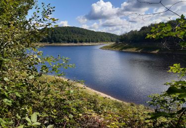 Tour Wandern Baelen - Perckiets - Photo