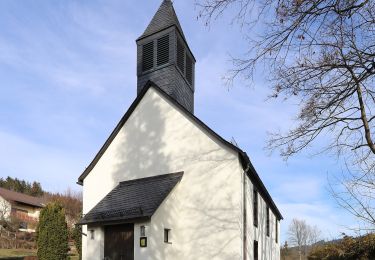 Percorso A piedi Steinwiesen - Leitschgrund-Weg RT 22 - Photo