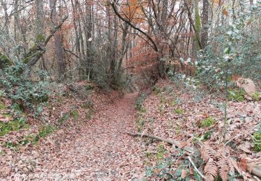 Trail Walking Benais - 20211120_benais - Photo