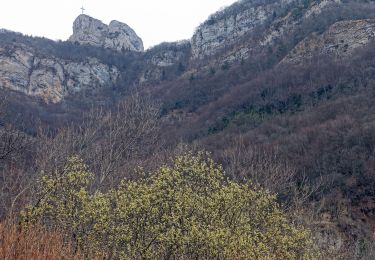 Tour Wandern Saint-Jean-d'Arvey - Lovettaz-Monterminod-Razerel-MontBasin-2021-03-03 - Photo