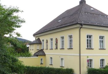 Tocht Te voet Freyung - Rundwanderweg Nr. 10 Bergholz - Langholz - Photo