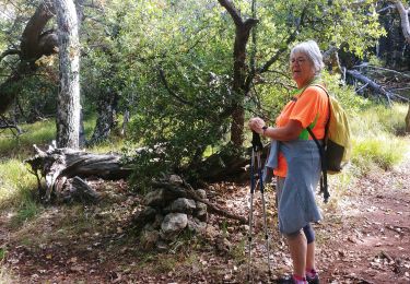 Tour Wandern Vérignon - verignon reel - Photo