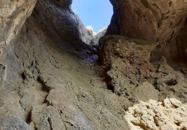 Tour Wandern Saint-Antonin-sur-Bayon - La Ste Victoire - Photo