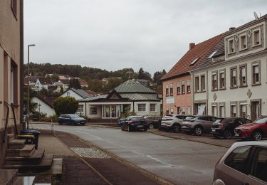 Tocht Te voet Mandelbachtal - Kneipp-Rundweg Ormesheim - Photo