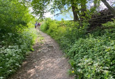 Trail Walking Assesse - Sorinne la Longue 21 km - Photo