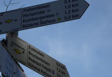 Tour Zu Fuß  - Wildnispfad - Photo