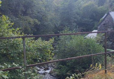 Trail Walking Saint-Chély-d'Aubrac - Compostelle / Chemin du Puy : de Aubrac à Bonneval - Photo