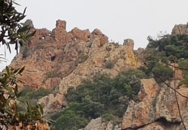 Excursión Senderismo Saint-Raphaël - L' ESTEREL - DU COL DE L'EVEQUE AU PIC DU CAP ROUX ET GROTTE SAINT HONORAT - Photo