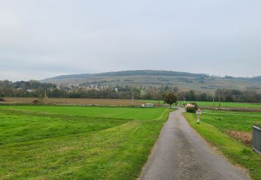 Tour Wandern Fossoy - Fossoy du 05-11-2024 - Photo