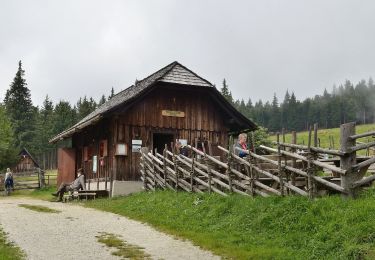 Randonnée A pied Fischbach - Wanderweg Halterhütt'n - Ziesler Alm - Photo