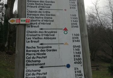 Trail Walking Remiremont - remiremont roche toquaine par chalet des gardes - Photo
