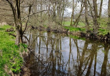 Tocht Te voet Hohenberg an der Eger - Wanderweg 1 Hohenberg a.d. Eger - Photo