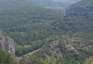 Tocht Stappen Saint-Antonin-Noble-Val - roc de bone  - Photo