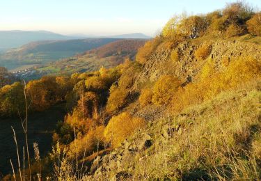 Randonnée A pied Kaltennordheim - Feldatalrundweg - Photo