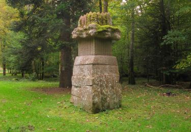 Tour Zu Fuß Thannenkirch - Taenchel - Photo