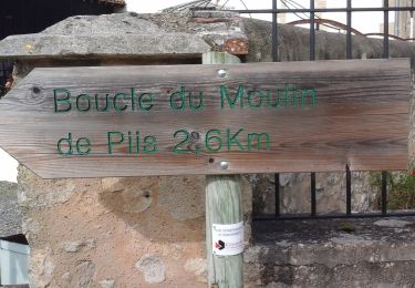 Tour Zu Fuß Bassanne - Le Moulin de Piis : boucle locale - Photo