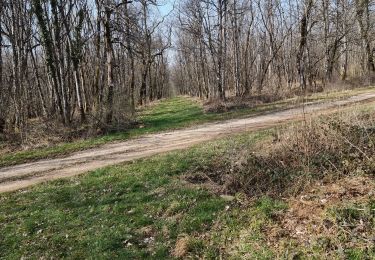 Randonnée V.T.T. Vouthon-Haut - reco partielle vtt les Chemins d'Isabelle.  - Photo