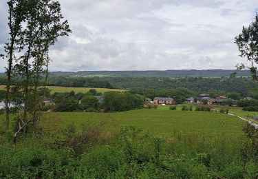 Tocht Stappen Durbuy - Bohon - Barvaux - Warre - Durbuy - Photo