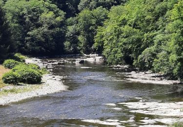 Tocht Stappen Tournavaux - Tournavaux - Photo